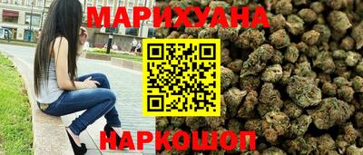 бошки Кингисепп
