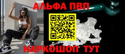 бошки Кингисепп