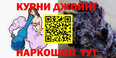 бошки Кингисепп