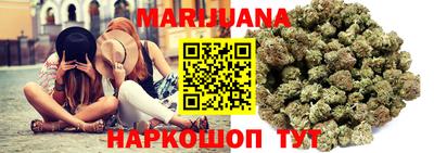 бошки Кингисепп