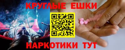 бошки Кингисепп