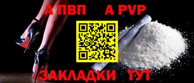 бошки Кингисепп