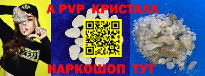 бошки Кингисепп