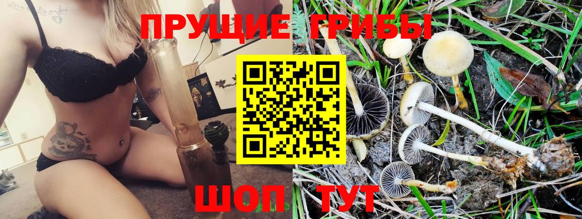 Галлюциногенные грибы Cubensis Котовск