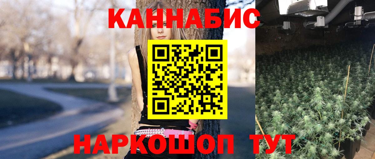 Бошки Шишки LSD WEED  Бошки марихуана VHQ  Котовск  Канабис индика  Вход с VPN 
